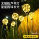 太阳能圆球灯庭院花园装饰灯地插草坪灯广场景观灯圆形户外芦苇灯