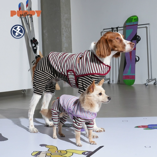 Корейская щенка в полосатом плащике для домашних животных собак Осенняя зима зима зима теплая маленькая собака