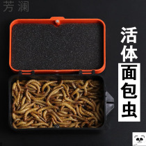 Honey bagel yellow mealworm snacks Food living hamster supplies flying squirrel insects live insects bread food hedgehog