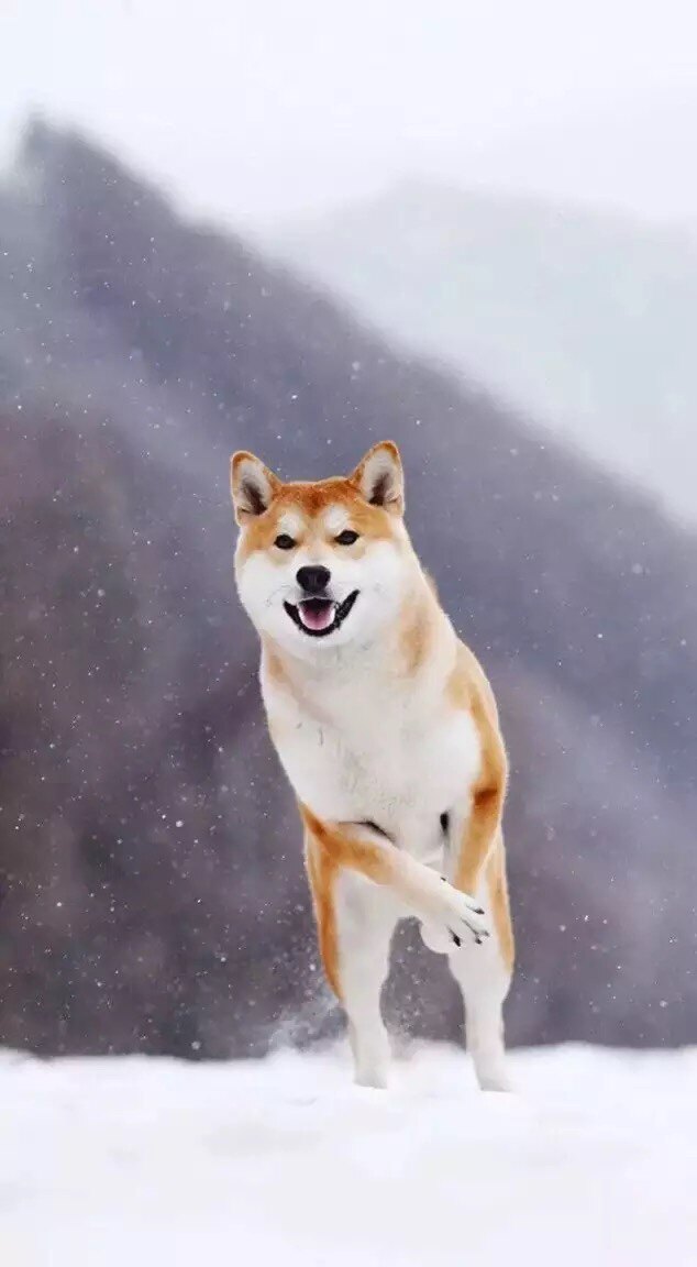 美美满满生活