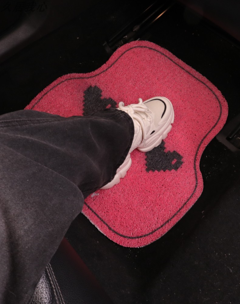 Car Floor Mats for the Back Seat, Non-Slip, Cute Silk Loop Style, Durable, Customizable, New Model for Car Interior
