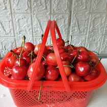 Hand Basket Fruit Picking Basket Strawberry Basket basket Fruit carrying basket Yang Mei Basket mulberry basket