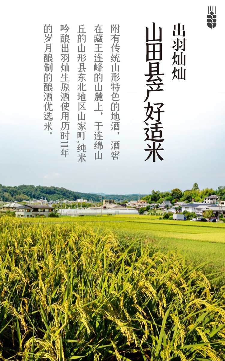 日本进口 千代龟 秀凤 特别纯米超辛口+10 纯米大吟酿 清酒 720ml*2瓶 天猫优惠券折后¥270顺丰包邮