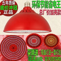 New LED fresh lamp pork lamp fresh meat lamp stewed vegetable deli special lamp supermarket seafood vegetable fruit lamp