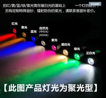 New led mini spotlight light bright jewelry wine cabinet small cabinet lamp color light 1W display cabinet fill light