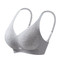 Catman warm velvet brushed underwear womens autumn and winter new small chest push-up pull-up anti-sagging side bra bra