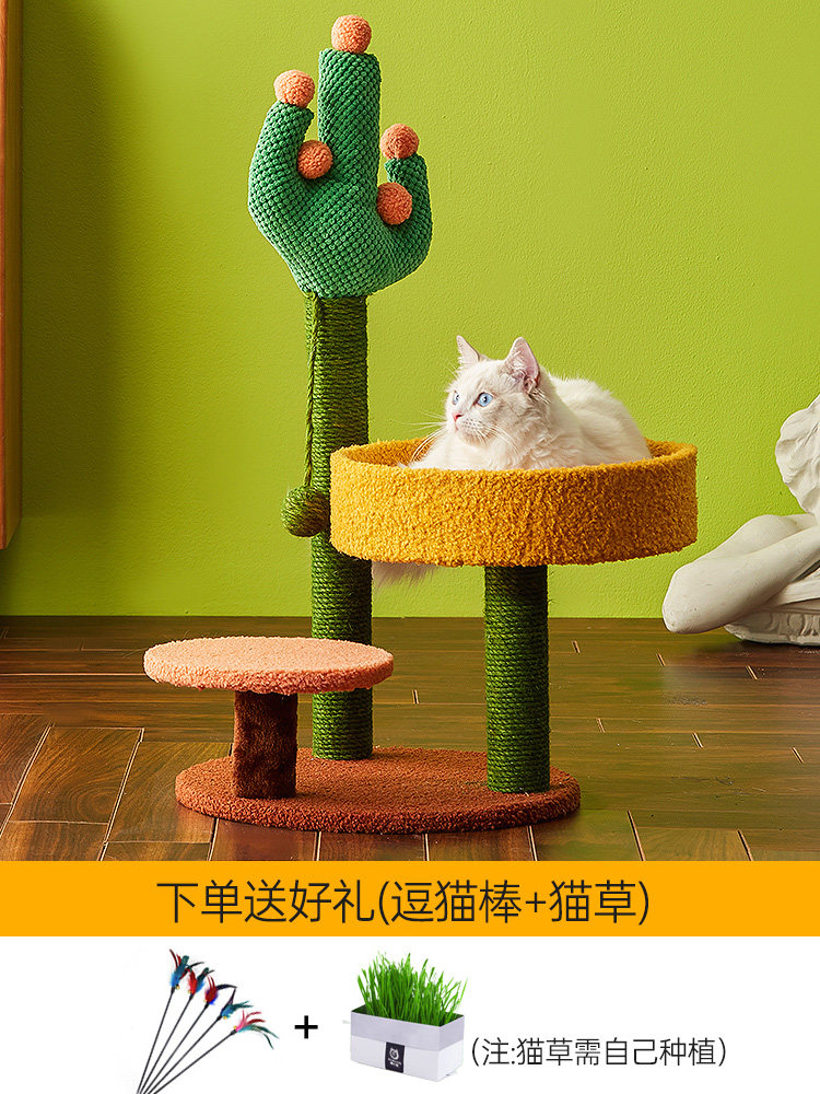 Cactus Catcat Cat Climbing the Four Seasons GM doesn't cover the cat's cat-tree-integrated small cat grabbing board cat grabbing post