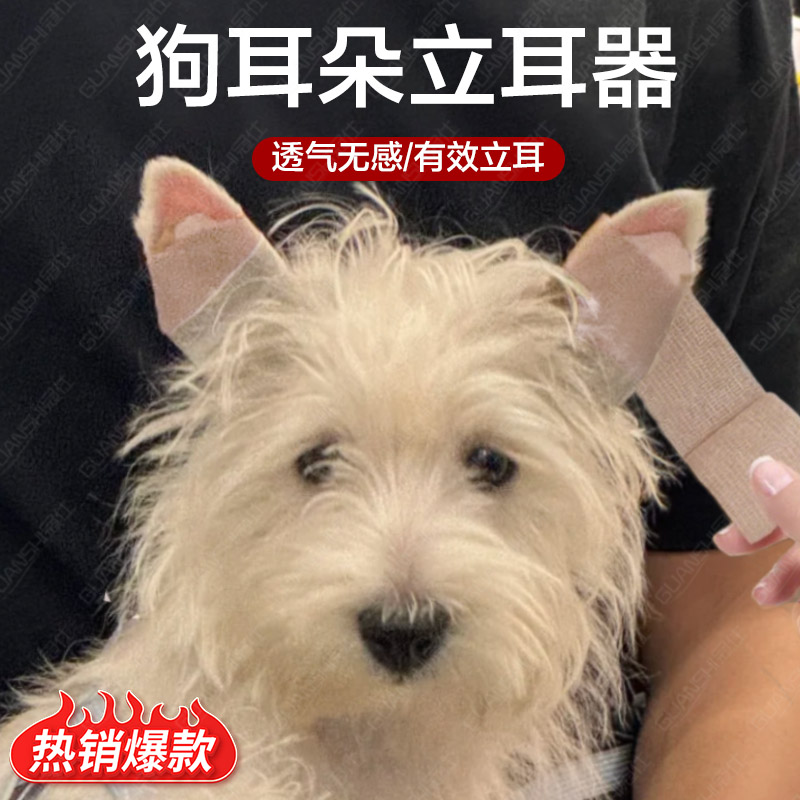 狗耳朵立耳辅助器矫正固定宠物幼犬竖耳神器多功能立耳贴无胶水dx