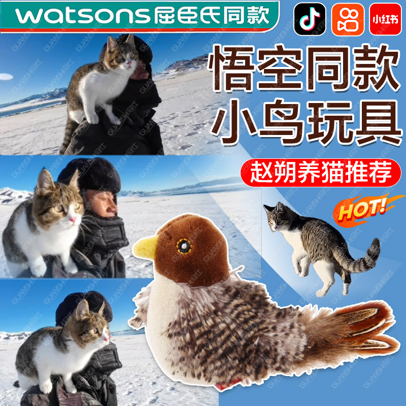 悟空同款小鸟玩具仿真声猫咪解闷自嗨老鼠鹦鹉摆件逗猫棒dx