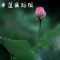半朵悠莲舞蹈服