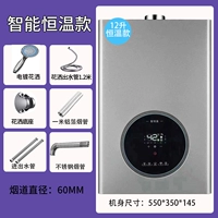 Национальный стандарт, 12-литровый интеллектуальный резервуар с постоянной температурой + утолщенный резервуар для воды из бескислородной меди