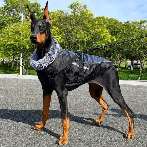 Демисезонная утепленная куртка, осенний сезон, подходит для подростков