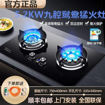 2026 New Junyou Haotaitai Gas Stove Double Burner Household Natural Gas Countertop Embedded High Flame Liquefied Gas Stove