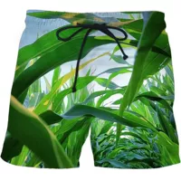 Шорты арбуза 01