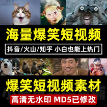 Short Video Funny Emoticons Tik Tok Popular Video Material HD Collection Hilarious Transitions Latest Self-Media Tutorials