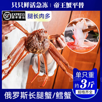 Pine Leaf Crab Fresh Frozen Long Feet Crab Super Crab Seafood Monarch Crab Raw Crab Raw Frozen Long Leg Russian Snow Crab Plate Crab