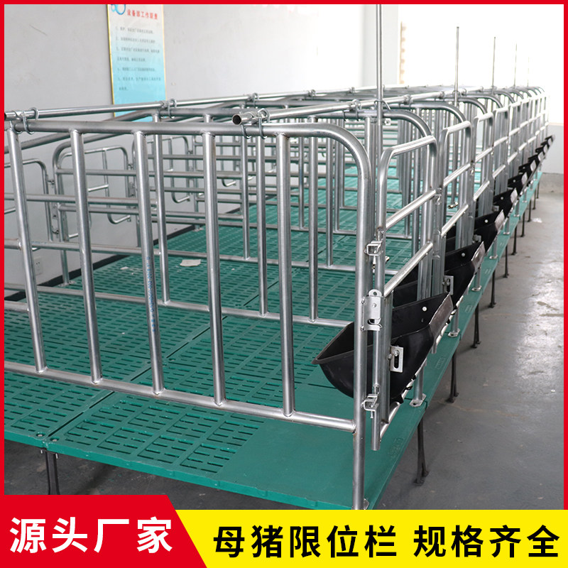 母猪限位栏:国标热镀复合板,10位落地式产床,养殖设备新标准!-猪栏猪笼-淘宝百科网