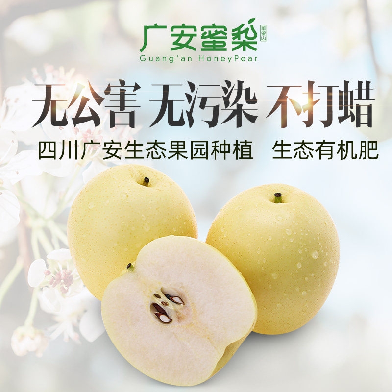 广安蜜梨产业园:一颗藏在四川盆地的甜蜜明珠-生活-淘宝百科网