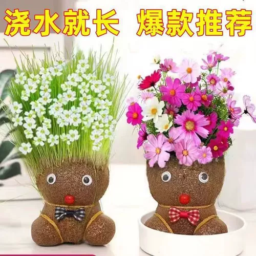 Креативные цветущие куклы с травяной головой, настольные украшения, легко выращиваемые, зеленые растения, вибрато, горшечные растения в одном стиле, крытое студенческое общежитие.