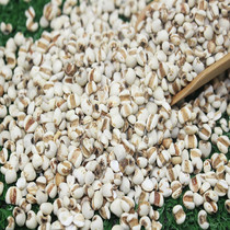 Rice Rice Rice Rice Rice Rice Peacock Red Peas Red Bean 500 gram