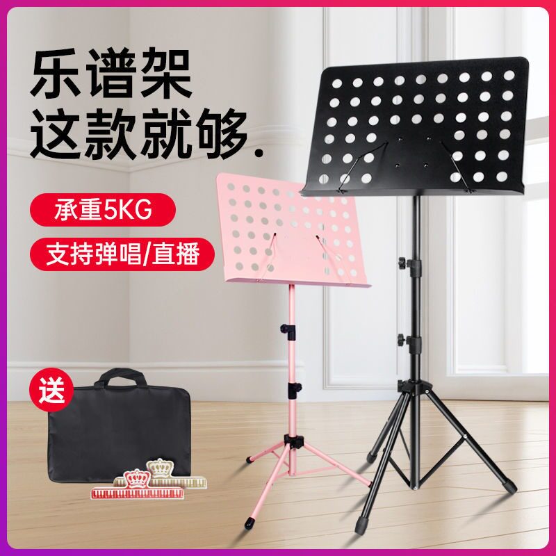 Rack Drum Guzheng Guzheng Spectrum Rack Guitar Shelf Guitar Shelf Vertical Bracket Violin Big Soundtrack Sound-Spectrum Rack