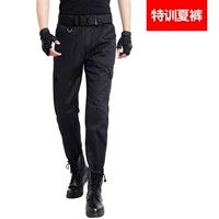 Летние штаны