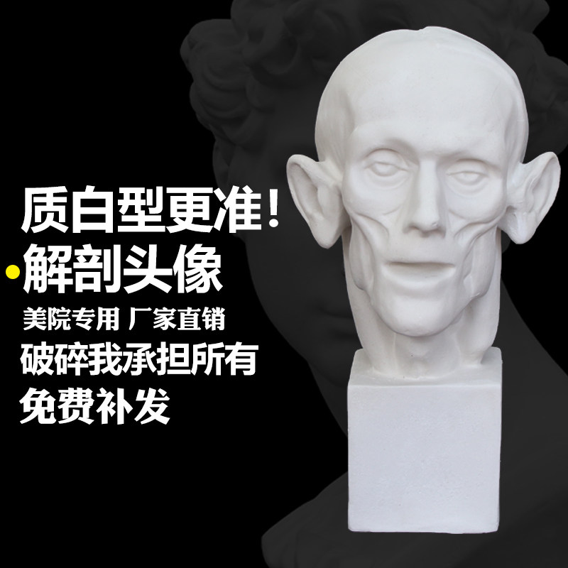 Anatomical avatar One plaster statue like muscle plaster Fine art plaster statue Sculpture Teaching Aids Painting Room Sketch Sketching Raw Plaster Statue