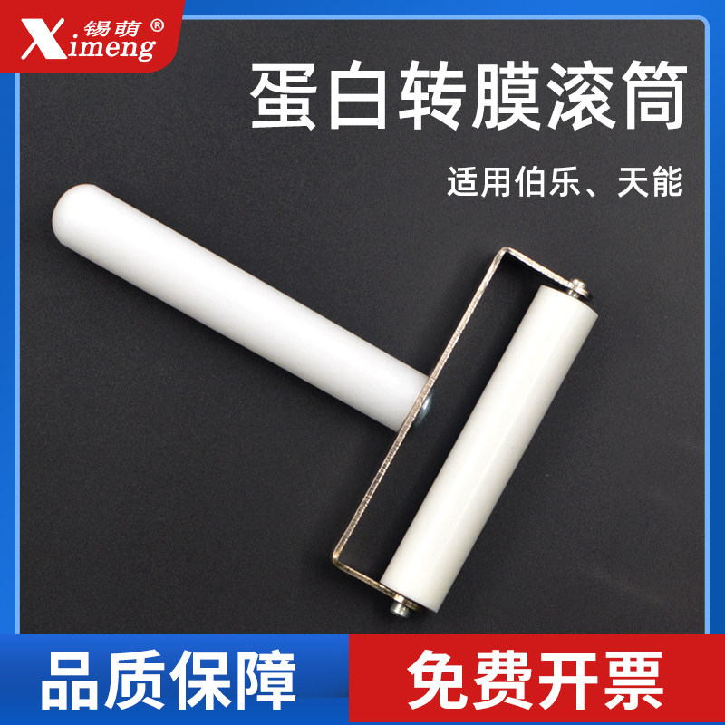 锡萌Western Blot滚筒WB蛋白滚子滚轮转膜用贴膜助手电泳仪Roller 赶气泡硅胶滚滑轮