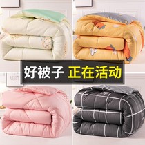 Winter ten catties thickened warm winter quilt with double quilt Spring and autumn quilt core winter down velvet quilted by single person white bedding
