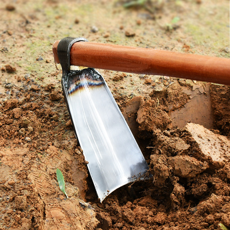 Wooden handle hoe-head agricultural outdoor landscaping open wasteland tool weeding harrowing and harrowing farm with vegetable species flowers home gardening