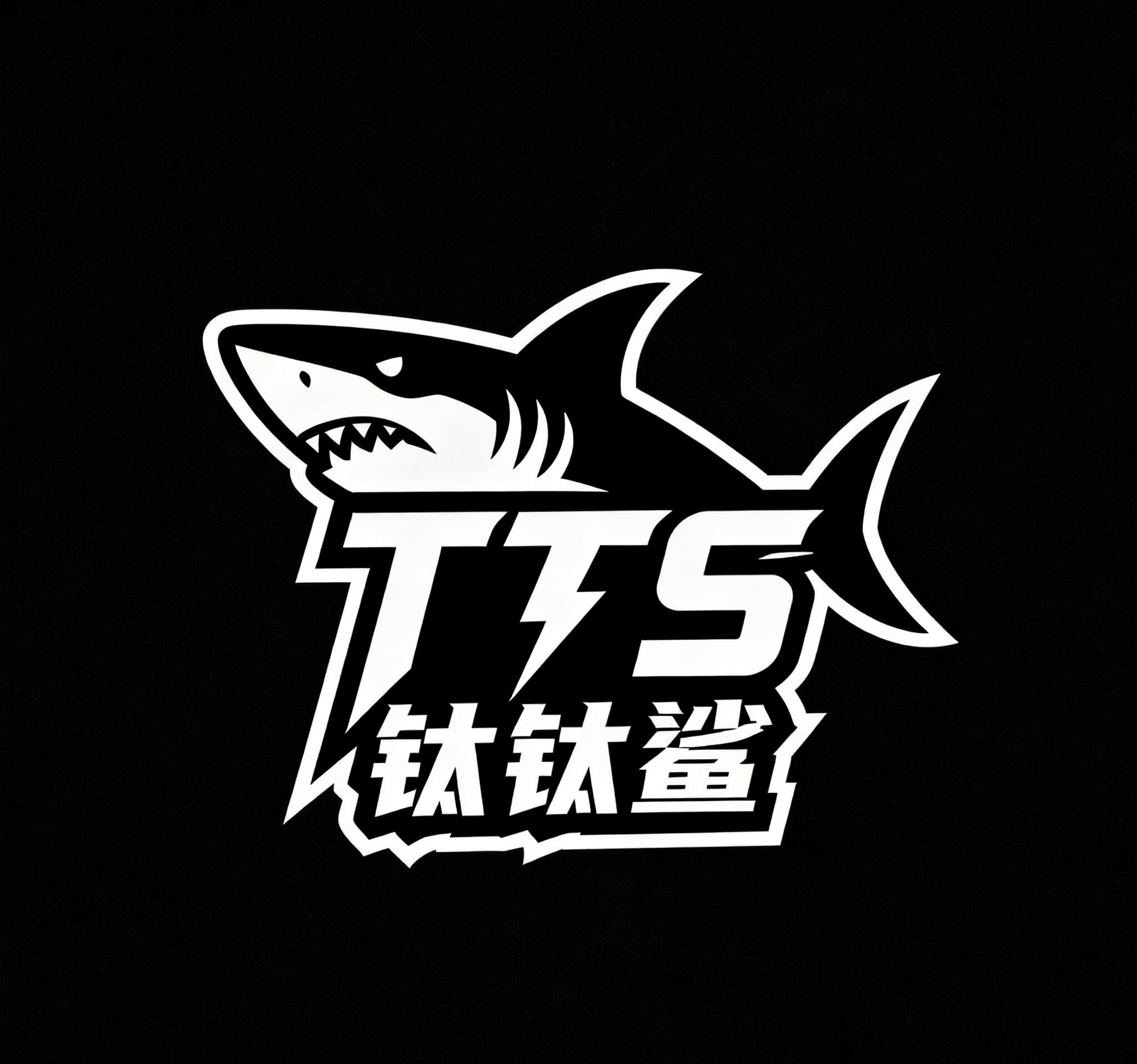 钛钛鲨游戏工作室