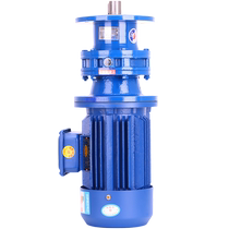 Pus vertical BLD cycloidal pinwheel reducer three-phase 380v dosing barrel mixer AC reducer copper core