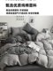 Simple Pure Cotton Four-Piece Set 100% Solid Color Bedding Bed Sheet Fitted Sheet Duvet Cover All-Cotton Student Dormitory Three-Piece Set 4