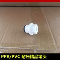 PVC water supply pipe fittings external tooth plug head PPR plug cap plug head rib plug tooth plug wire plug 20mm*1 2*4 points