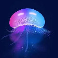 水族优选馆