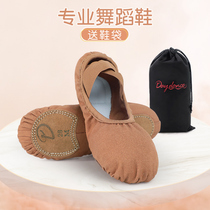 Dance Shoes Kids Adult Ballet Soft Sole Shoes Exercise Shoes Boys Body Cat Claw Shoes Little Girl Dance Shoes