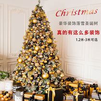 White flocked Christmas tree home encryption package 1 2 1 5 1 8 2 1 meter 3 Luoxue hotel decoration