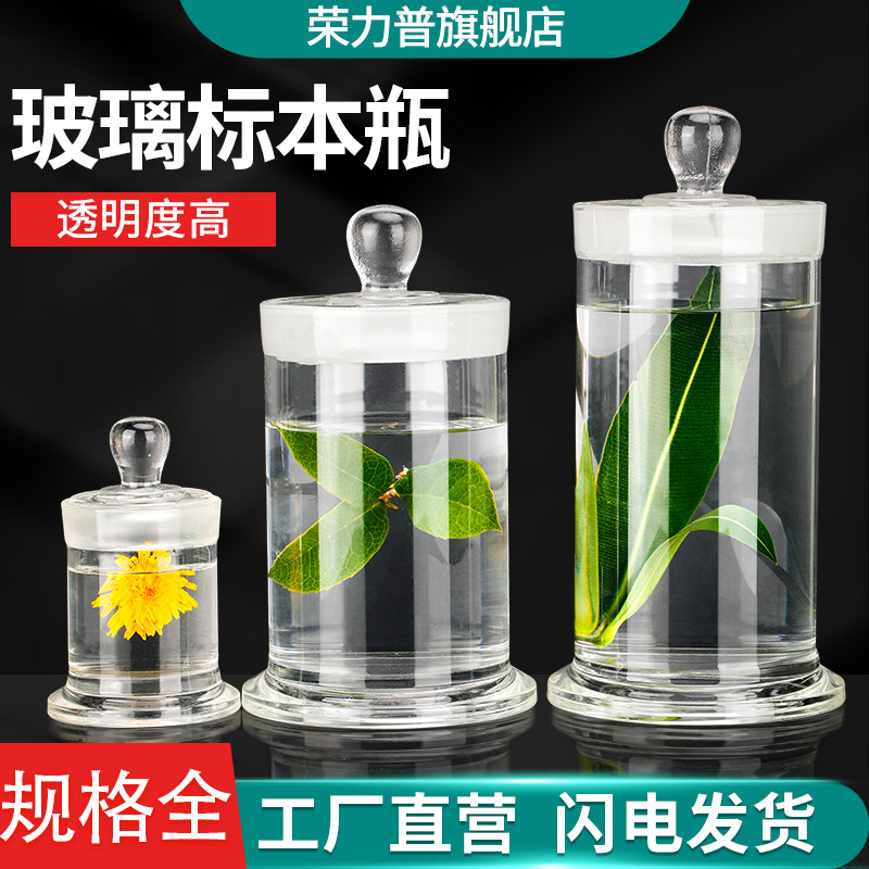 高硼硅玻璃标本瓶磨砂口密封样品瓶大广口无铅玻璃样品瓶实验室样品标本展示瓶干货茶叶储物罐密封罐瓶