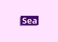 Sea海淘小店的LOGO