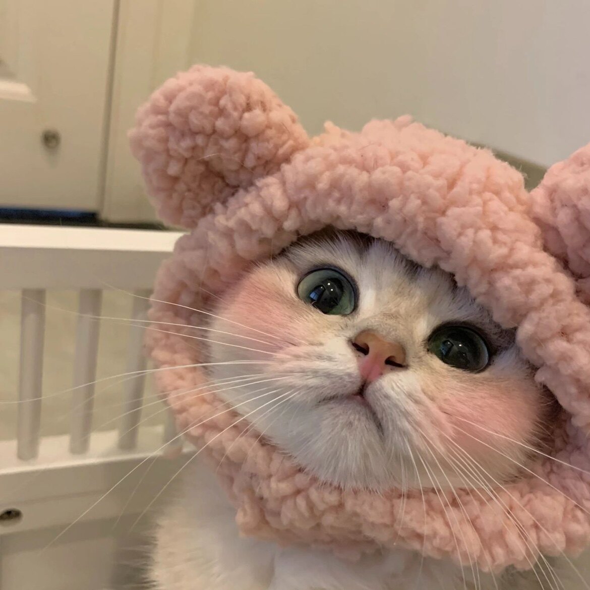 甜碎片