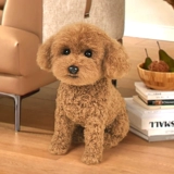 Карта-маны, кукла, детская плюшевая игрушка, США, подарок на день рождения