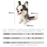 Реалистичная карта-маны, плюшевая кукла, детская игрушка, США, домашний питомец, подарок на день рождения