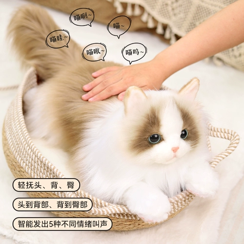 Карта-маны, кукла, электрическая плюшевая игрушка, США, кот, подарок на день рождения