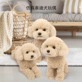 Карта-маны, кукла, детская плюшевая игрушка, США, подарок на день рождения