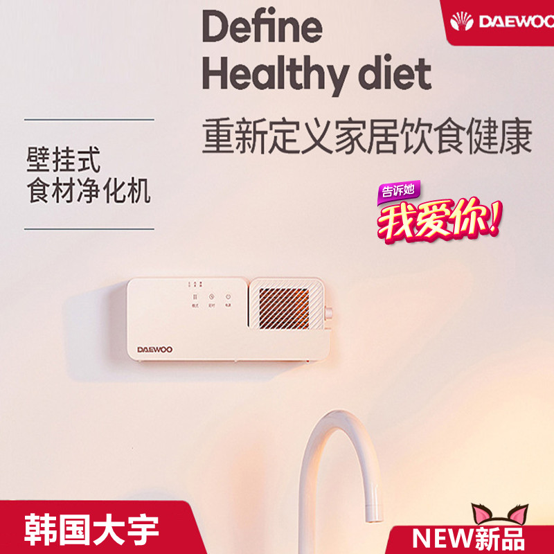 South Korea Daewoo Fruit And Vegetable Guards Wall-mounted Cleaner Household Vegetable Washing Machine Fully Automatic Fruit Ingredients Purification Machine