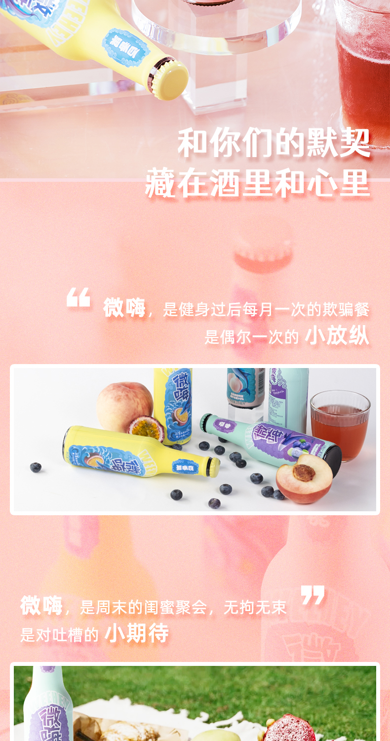 微嗨 精酿果味啤酒 2.5度 3口味组合 270ml*12瓶 图13