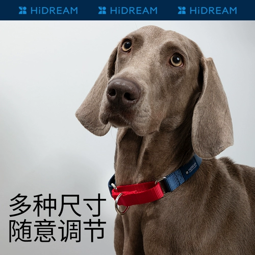 HiDREAM Радужная собака воротнич