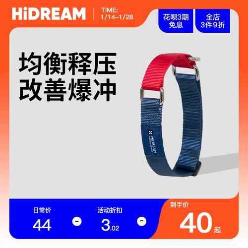 HiDREAM Радужная собака воротнич