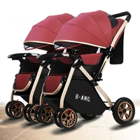 Продвинутые модели разделяют близнецы красный