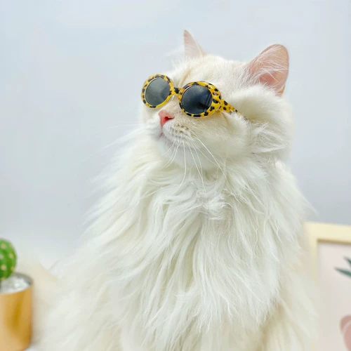 Забавные солнцезащитные очки, милая кукла, модный аксессуар, кошачий глаз, домашний питомец, кот